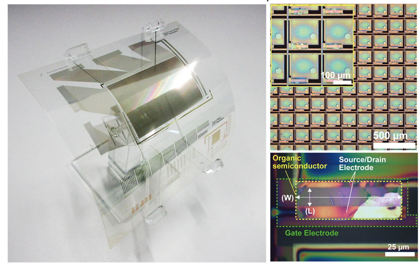 Takeda Laboratory hero visual